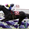 楽しい競馬予想、馬名で物語を🏇第68回阪神大賞典G2🏇