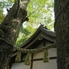 川越神社巡り③