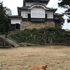 百名城　備中松山城 (68・岡山県高梁市) -現存天守の残る山城の城主は猫　岡山の旅2021夏⑦