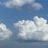 わたしのカメラロール。