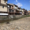 記憶の旅猫・雅3。