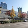 渋谷NHKスタジオ前は紅葉中