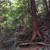 秋のプチ登山　岐阜　金華山 @2018 秋