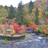 青森の旅4…黒石市の中野紅葉山10/27