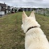 始まった開幕戦