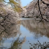 写真いろいろ　008　井之頭公園、六本木、みなとみらい、葉山