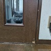 無言でガン見待ちする愛猫がカワイイ