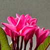 季節の移り変わりと共に