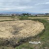 救い、神との交わりという視点