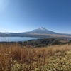 富士山を眺める山ーその２ー