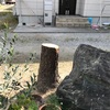 無常