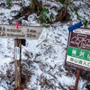 2025-03-27 南沢山