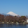 私の地元静岡県は山に食に環境と素晴らしいってことを地元を離れて気がついた