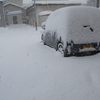 山道散歩　暴風雪。