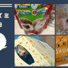 我が家のハリネズミの１日　飼育や餌、部屋んぽの話