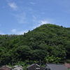 高尾山周辺であじさい巡り