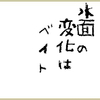 ベイトを探す【海と魚3手目】