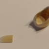 基礎ゼミで「プログラムはこうして作られるプログラマの頭の中をのぞいてみよう」をやってみる