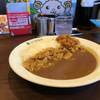 CoCo壱番屋　　　　　ポークカレー