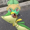 ポケモンGO　ツタージャのコミュニティ・デイお疲れ様でした。　ほしのすなを大量にゲットできました！