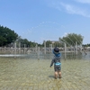 子どもの遊び場♪ 大きな水遊びスポットあり！碧南市臨海公園（愛知県碧南市）