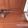 犬鳴き村を観に行った話