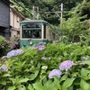 江ノ電の四季～紫陽花咲く頃