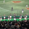 アジアプロ野球チャンピオンシップ　台湾応援席は台湾チア目当て満員、侍ジャパン以外の試合で1万人近く集結　チアリーダーは踊りっぱなし、驚異的なスタミナ　韓国が決勝進出