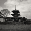 法起寺三重塔と空飛ぶカラス