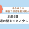 21週6日　22週の壁まであと少し！