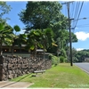 ハワイ1人旅2013　　Wahiawa Botanical Garden