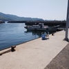 小島漁港はファミリーフィッシングに最高の場所と言い切る