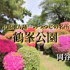 【 岡谷市 】鶴峯公園｜モコモコのツツジが3万株植わる中部日本一のツツジの名所