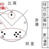 食傷か印星が欲しい命式
