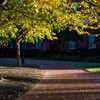 Memory of Washington, D.C. Vol. 2