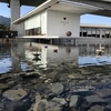 食を楽しむアクアイグニスと食材を楽しむ道の駅「菰野」　御在所岳レポ③