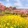 またまた西郷川河口公園へ♪