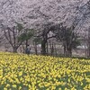 岩井親水公園(群馬県吾妻郡)