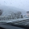 初雪