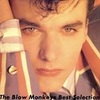 The Blow Monkeys／Best Selection