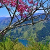 奥多摩湖から富士山に行って参りました。