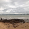 タイ3日目