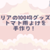 セリアの100均グッズでトマト雨よけを手作り！