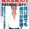 平直行 総合武術入門 武術を格闘技に活かす！ [DVD]