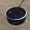 スマートスピーカーにしゃべらせる