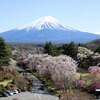 富士河口湖 忍野八海 桜が満開でした。
