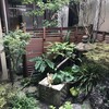 【箱庭】夏から秋へ