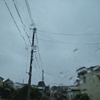 恵みの雨かも・・・