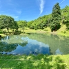 しず岱の清水の池（仮称）（秋田県湯沢）