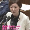 日本保守党・れいわ新選組の問題点